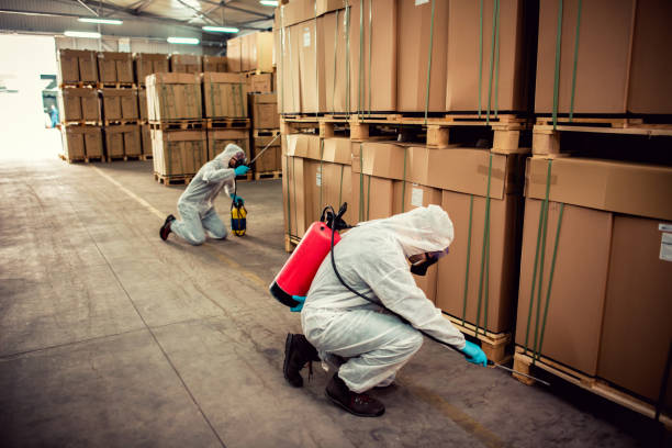 Best Pest Control Near Me  in North Tonawanda, NY