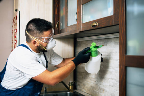 Best Residential Pest Control  in North Tonawanda, NY