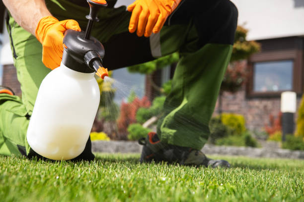 Best Spider Control Near Me  in North Tonawanda, NY