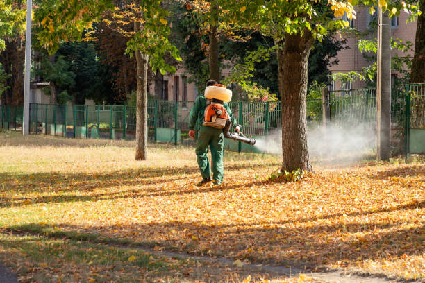 Best Flea Control Services  in North Tonawanda, NY