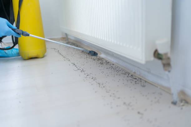 Best Pest Inspection Near Me  in North Tonawanda, NY