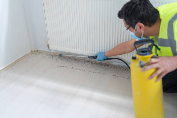 Best Flea Control Services  in North Tonawanda, NY
