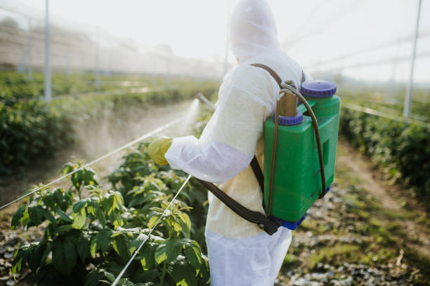 Best Best Pest Control Companies  in North Tonawanda, NY